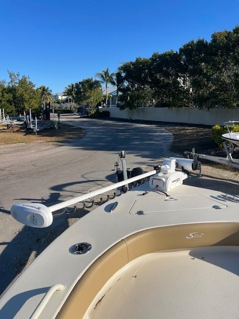 2020 Scout 251 XSS - 10