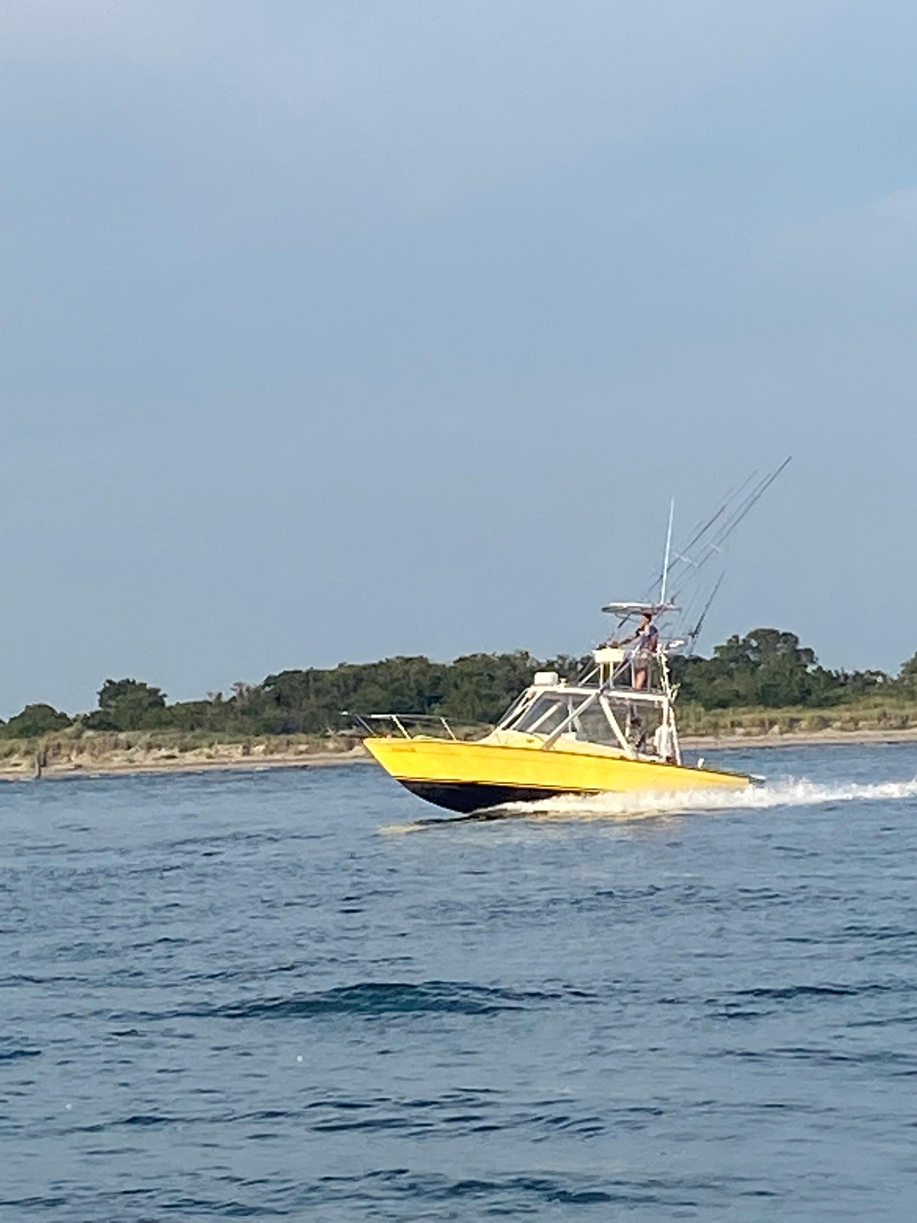 1970 Cary Express - 2
