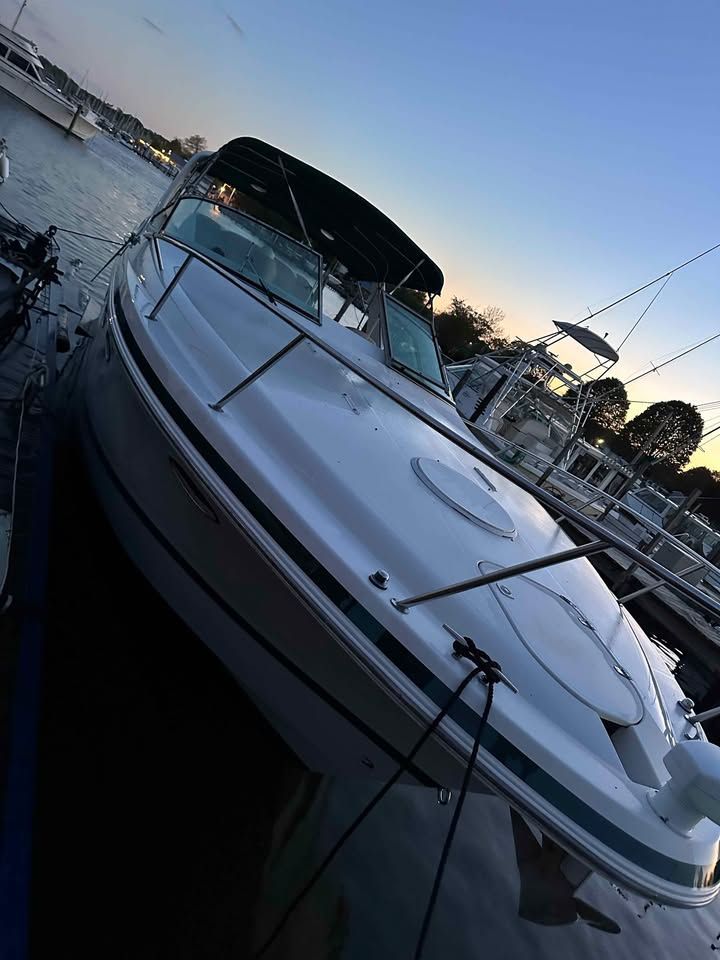 2001 Chris-Craft 308 Express Cruiser - 17