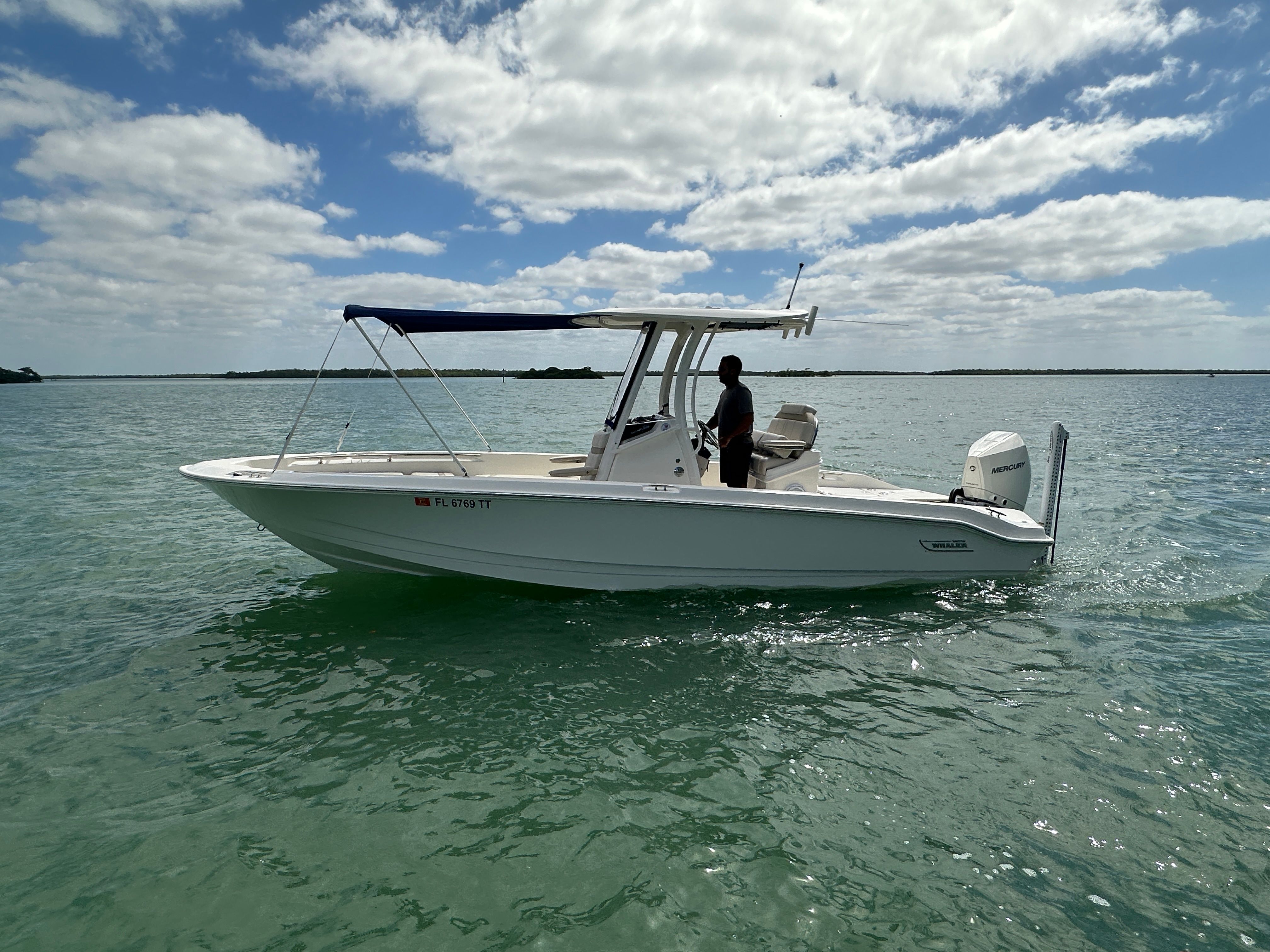 2024 Boston Whaler 250 Dauntless - 12