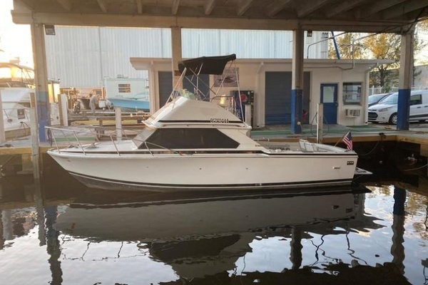 1987 Bertram 28 Sport Fly Fish