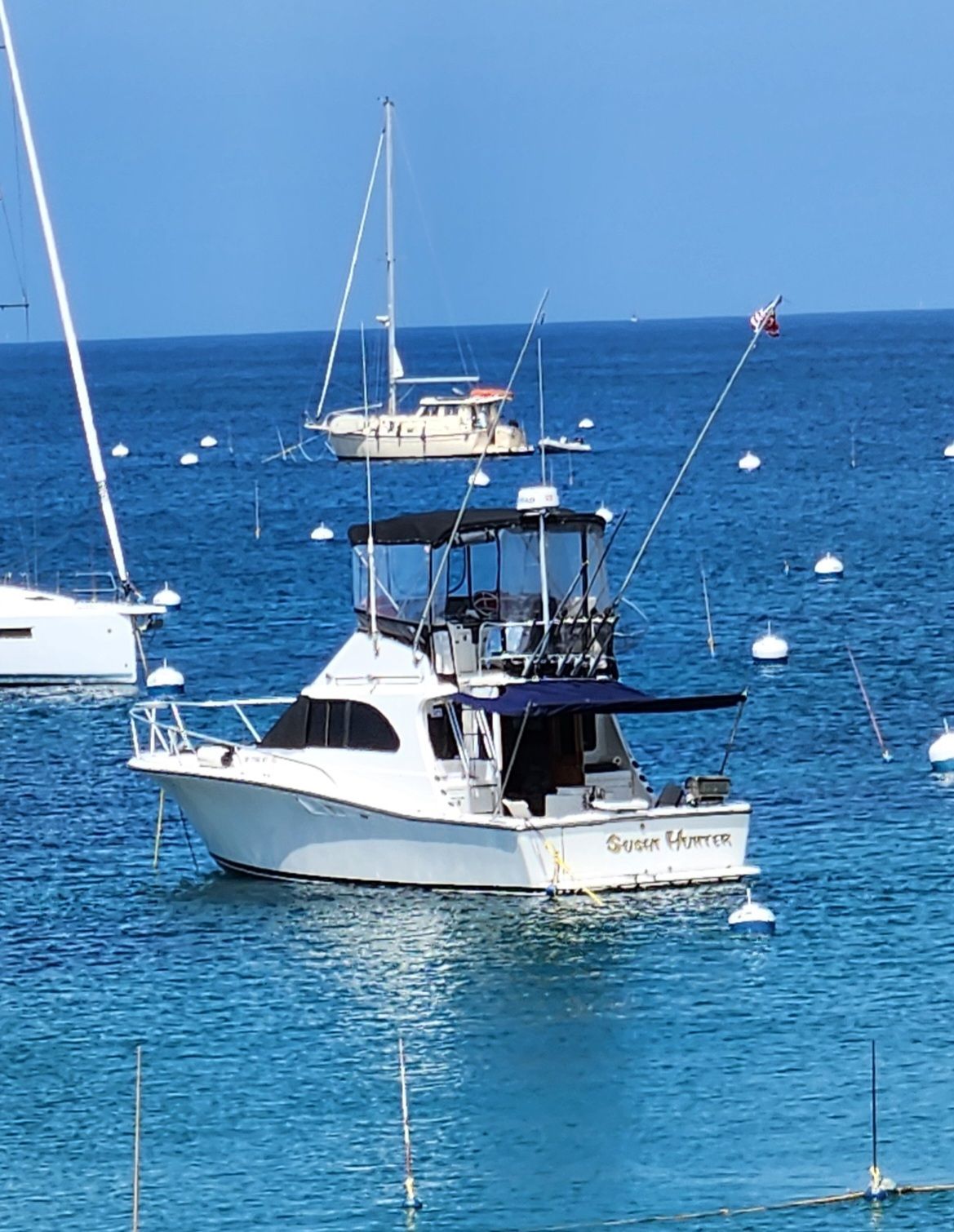 1990 Luhrs 320 - 2