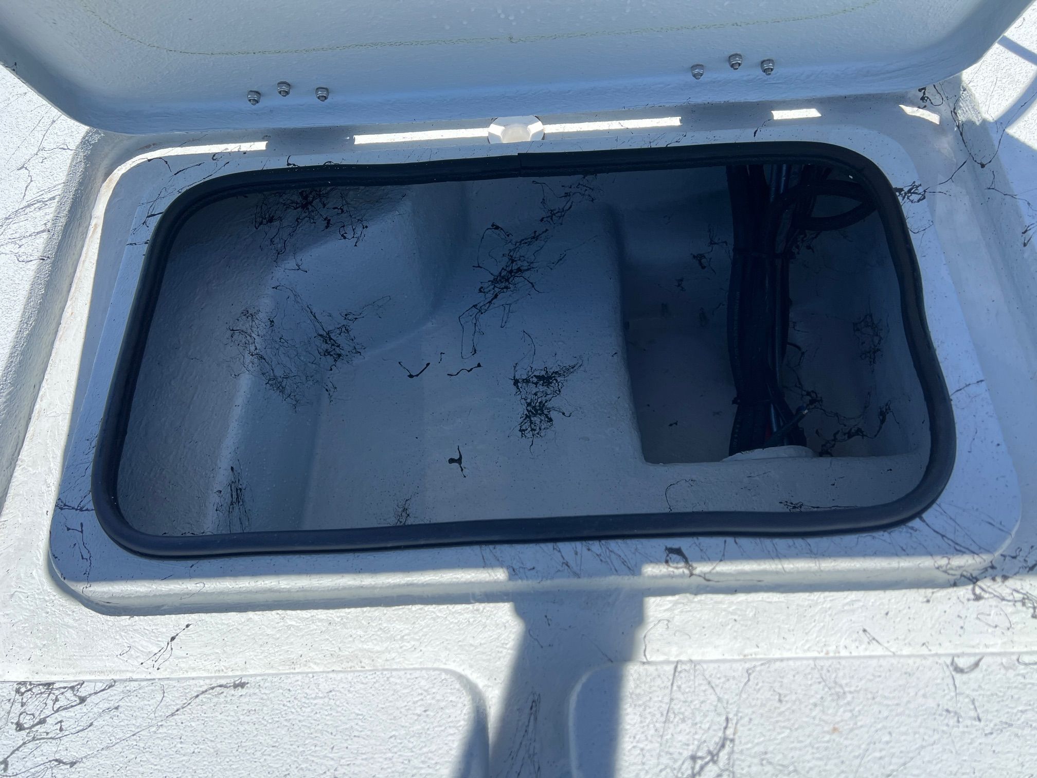2026 Shoalwater 21' Catamaran - 26