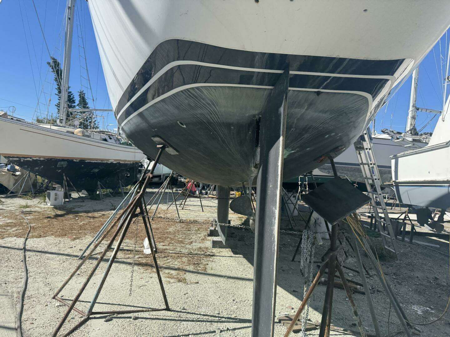 1987 Wauquiez Centurion 47 - Image 3