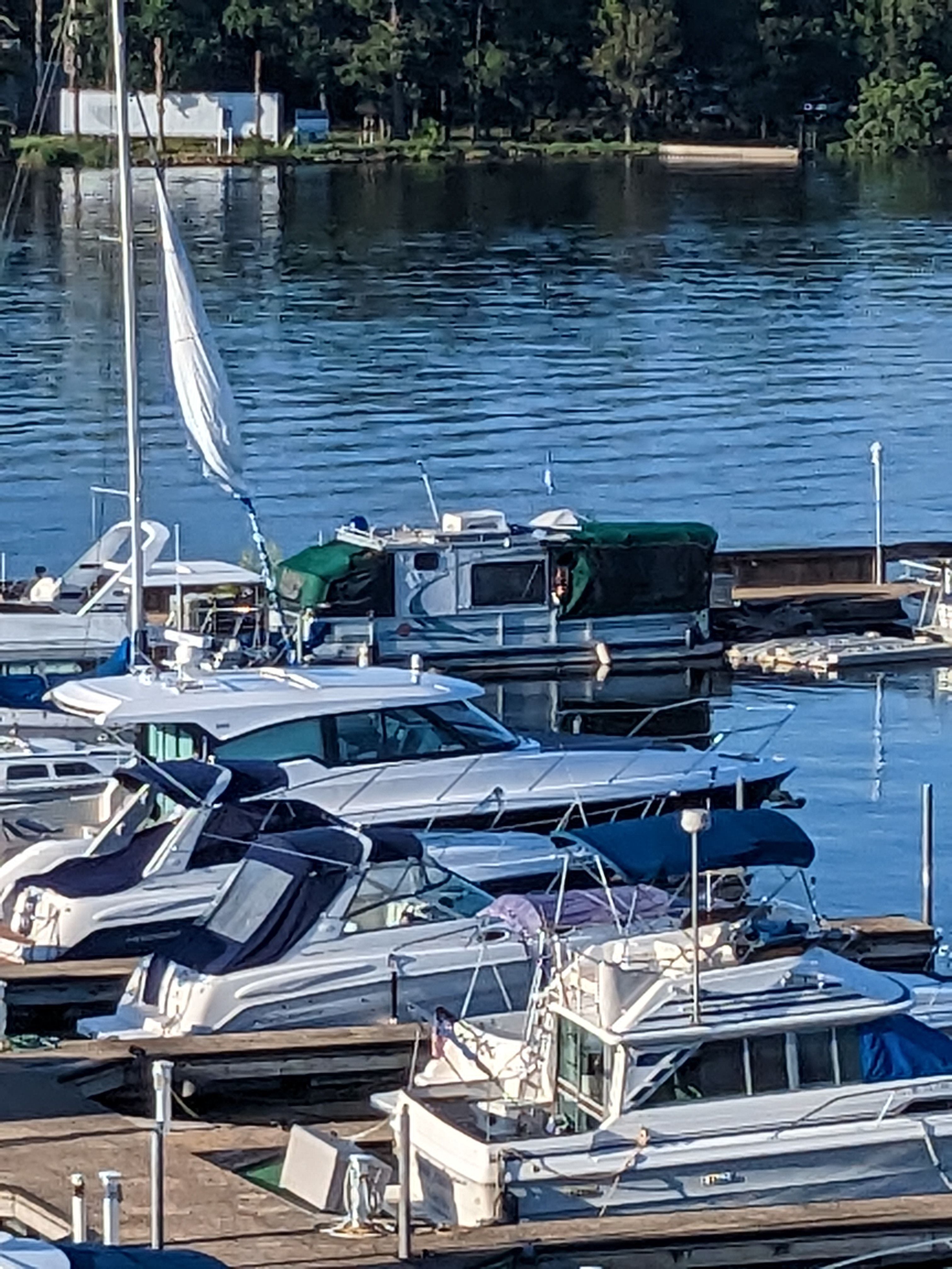 Boats are docked in a calm harbor with a wooded shoreline in the background.