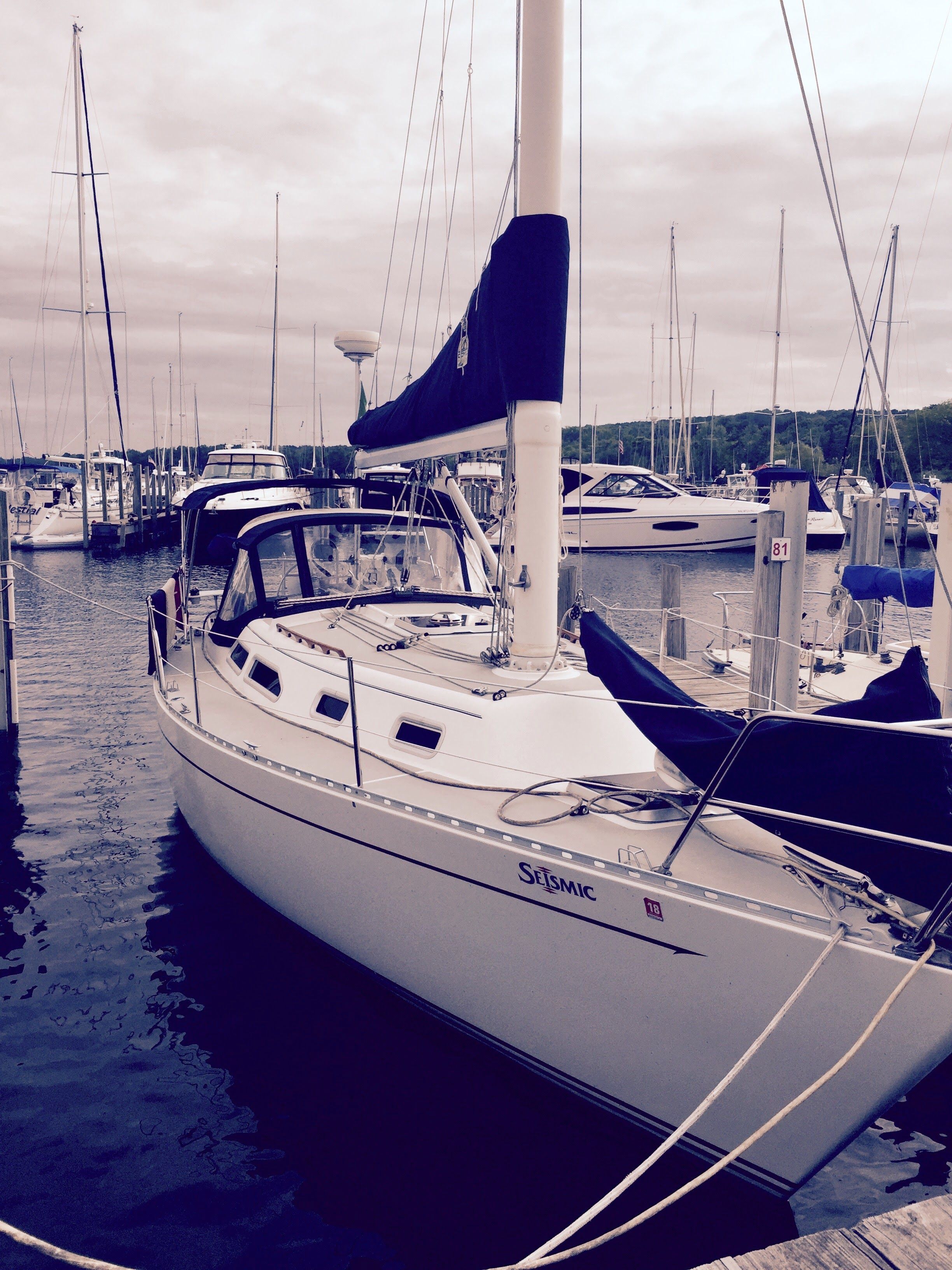 1988 Freedom 30 - 21