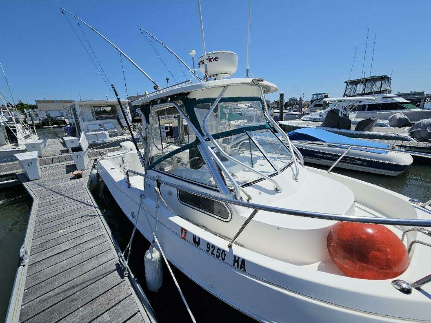 2001 Aquasport 250 Explorer - Image 4