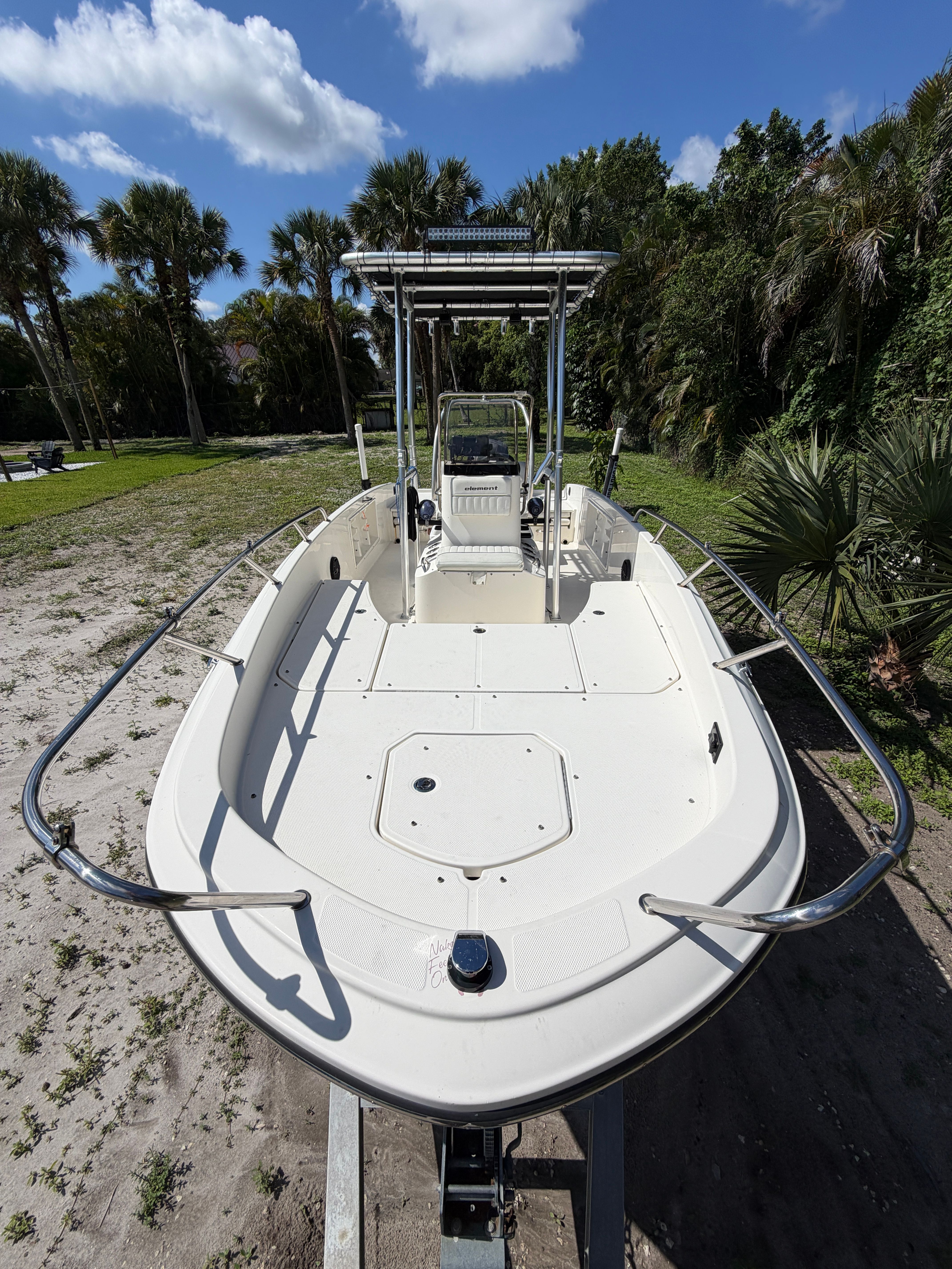 2018 Bayliner Element F21 boat on trailer, surrounded by palm trees.