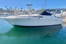 1990 Sea Ray Sundancer 310