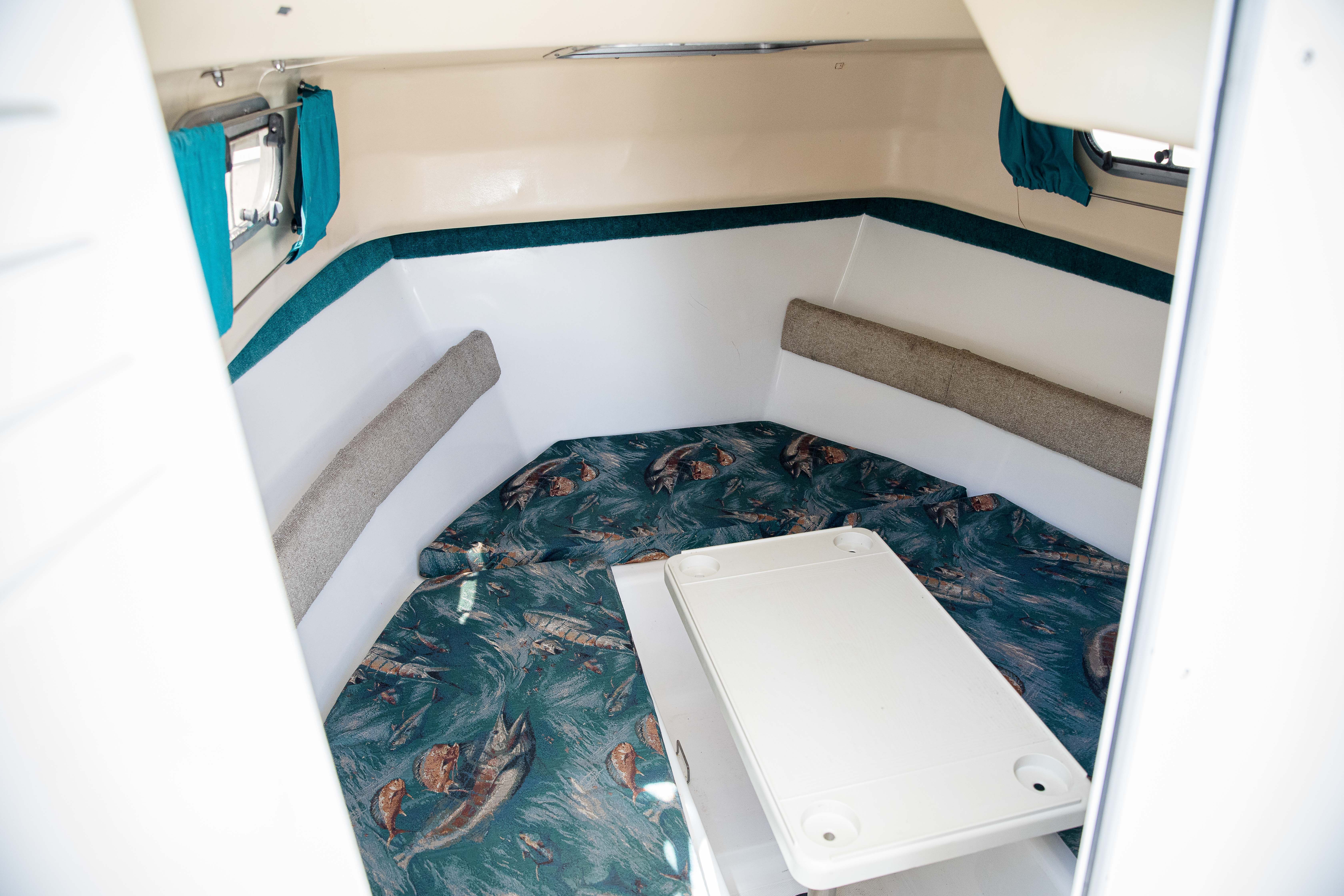 2002 Sea Pro WA235 - 10