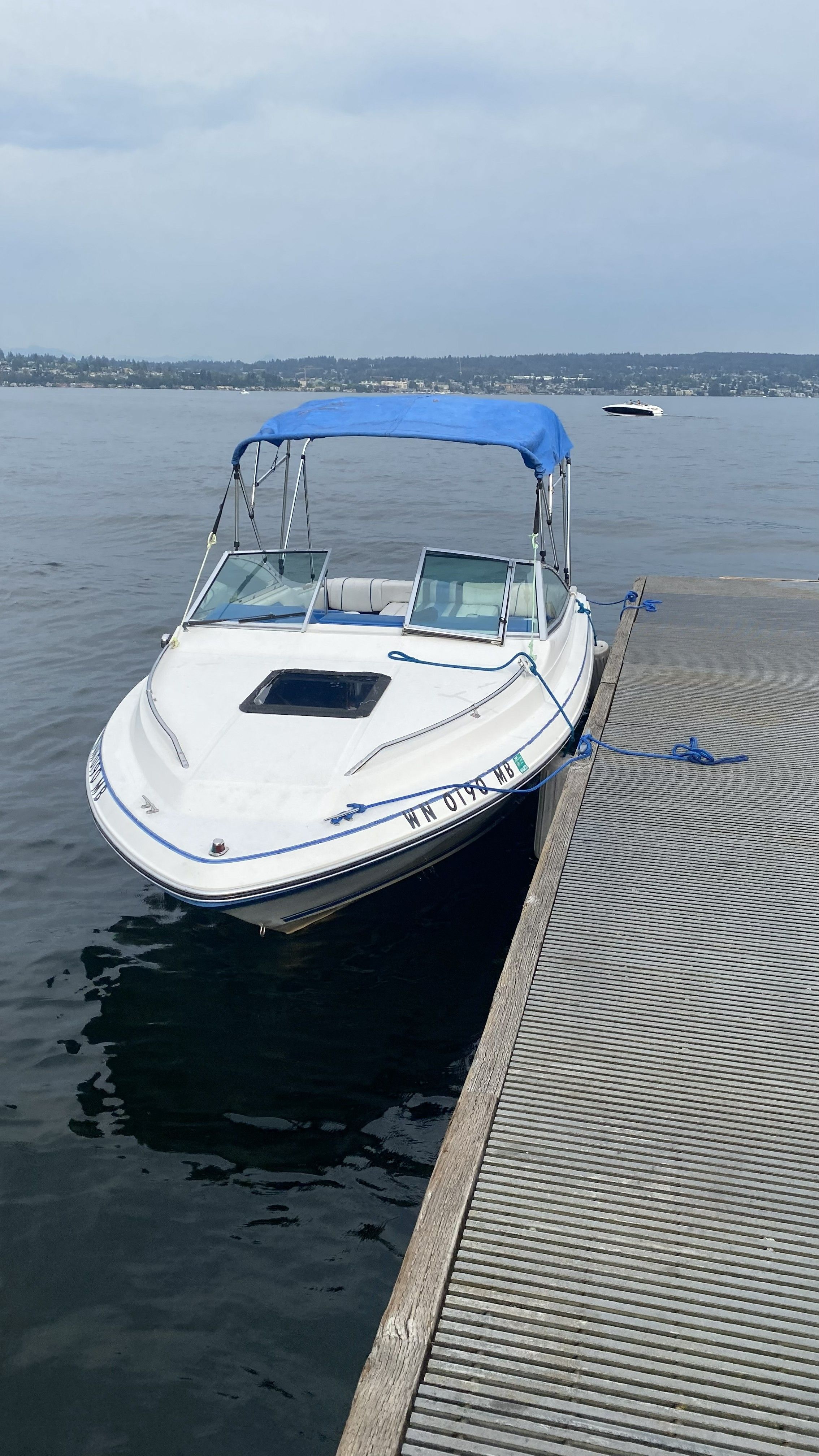 1990 Sea Ray Cuddy Cabin - 6