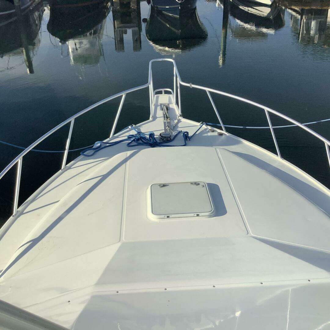 2006 Cabo 35 Flybridge Sportfish - Image 5