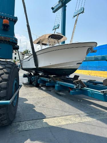 2006 Grady-White Bimini 306 boat on a lift at a marina.