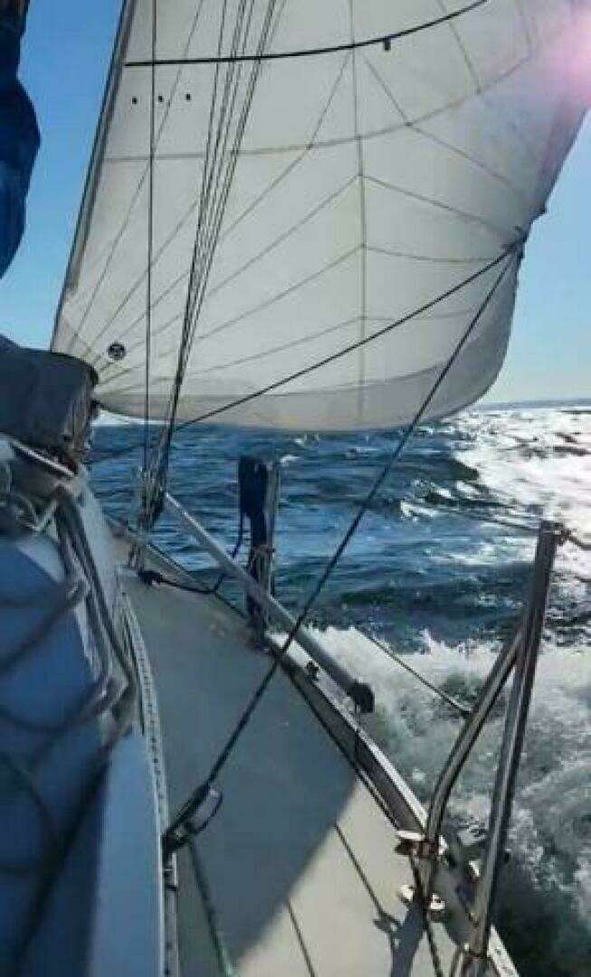 1980 Ericson 30 + - Image 30