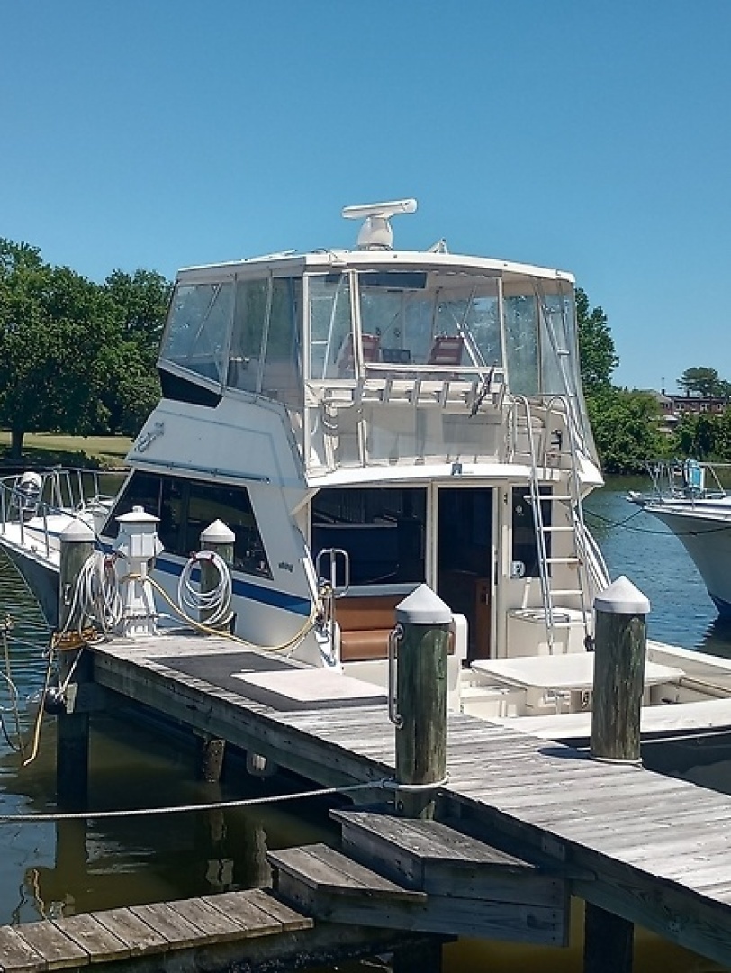 1987 Viking Convertible - Image 4