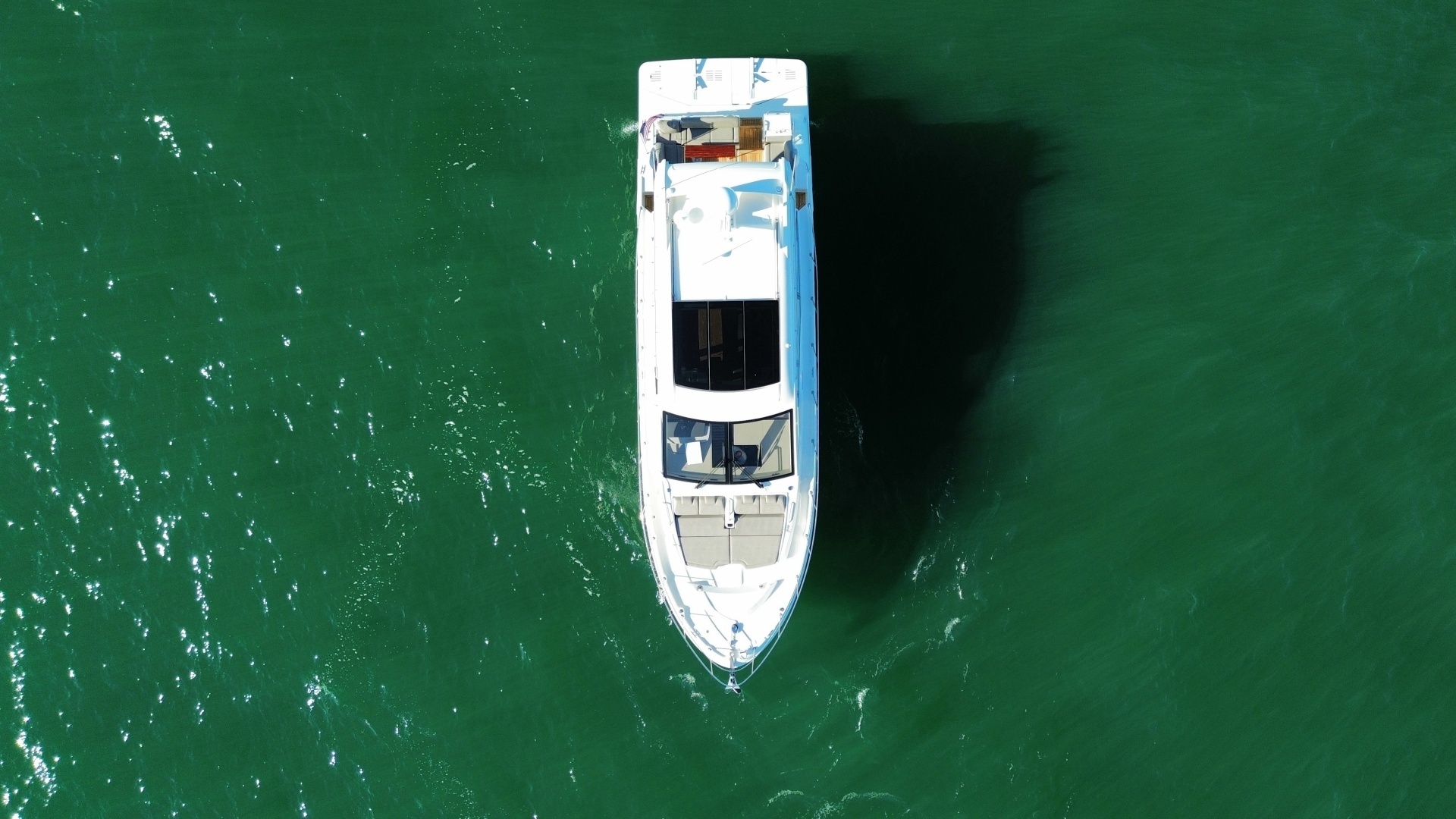 2019 Sea Ray 520 Sundancer - Image 8