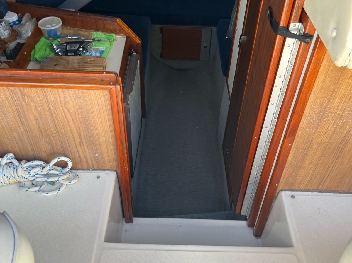 1984 Sea Ray Amberjack - 5