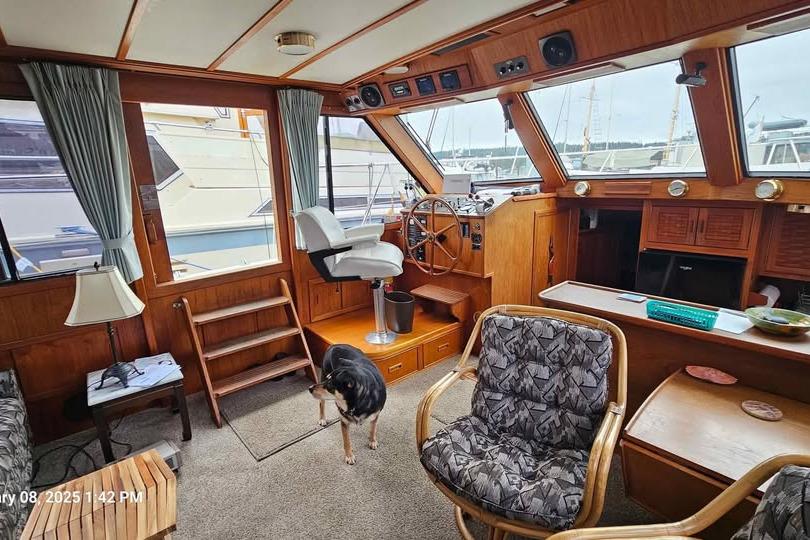 1988 Canoe Cove Tri-Cabin interior with helm, seating, and a dog.