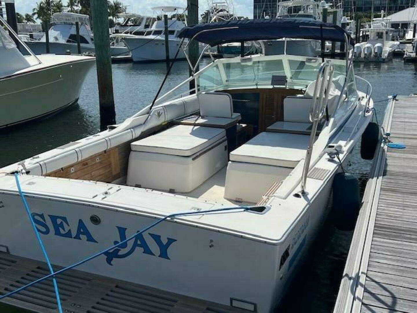 1984 Bertram 26 Express Moppie - Image 2