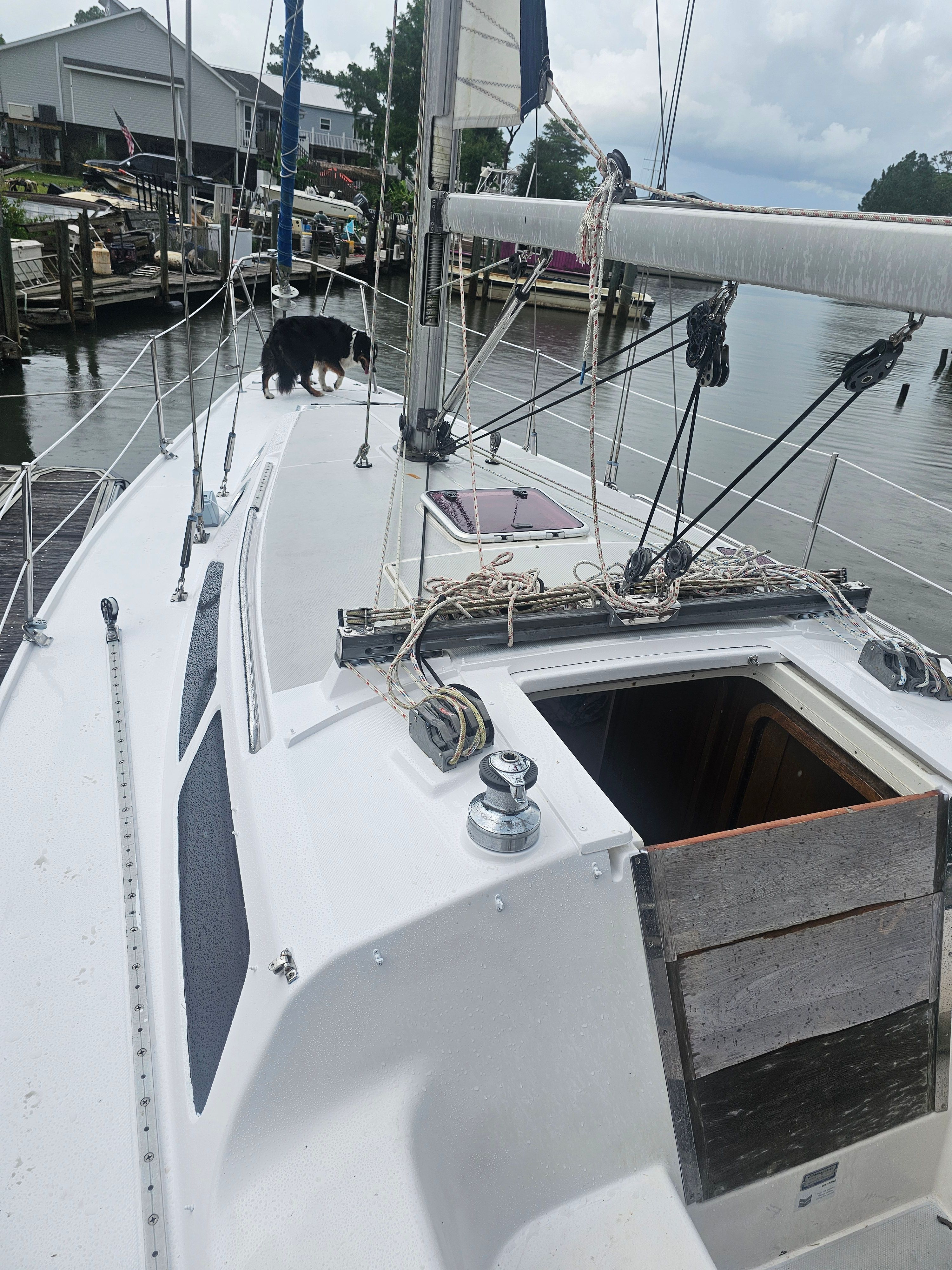 2006 Catalina 320 sailboat docked with a dog on deck.
