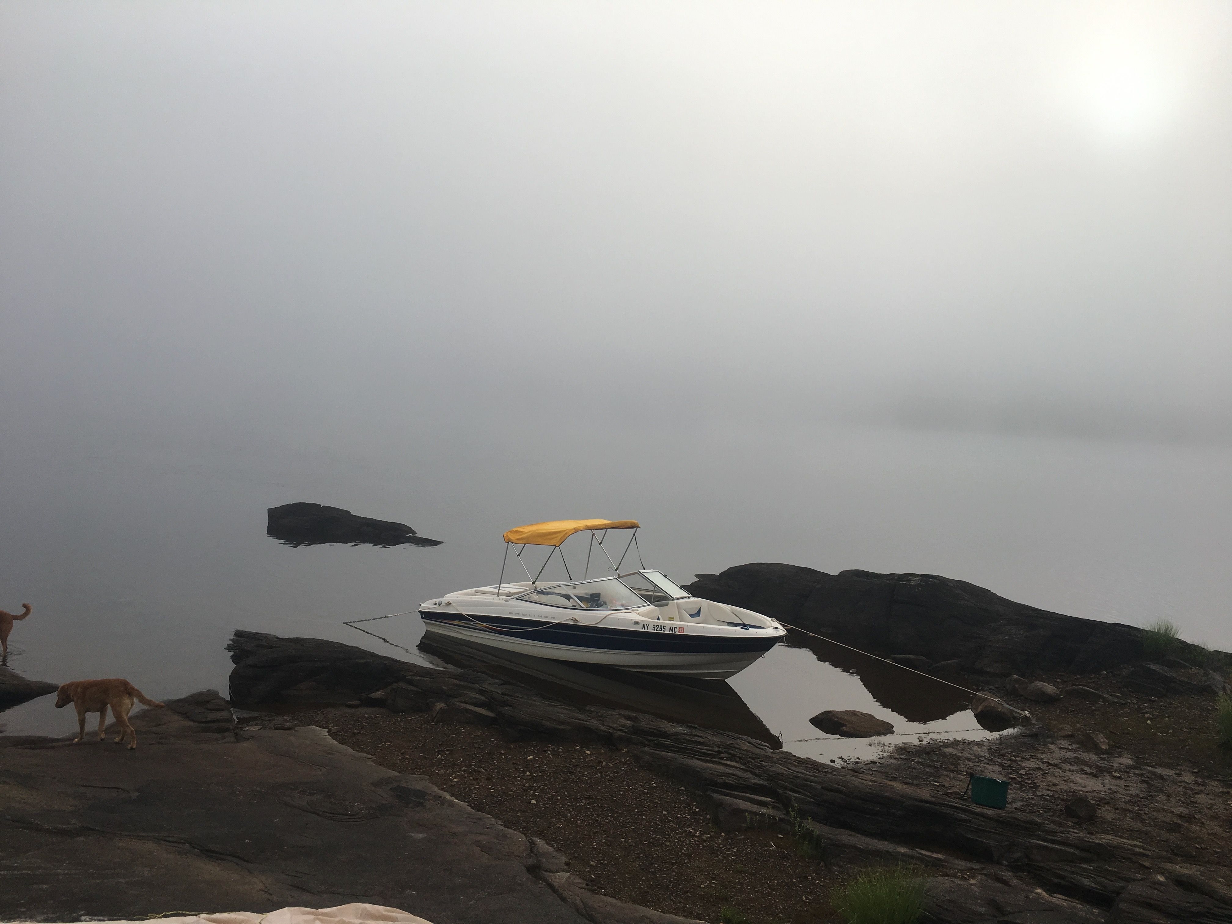 2005 Bayliner 205BR with a yellow canopy, moored peacefully at a foggy lakeside.