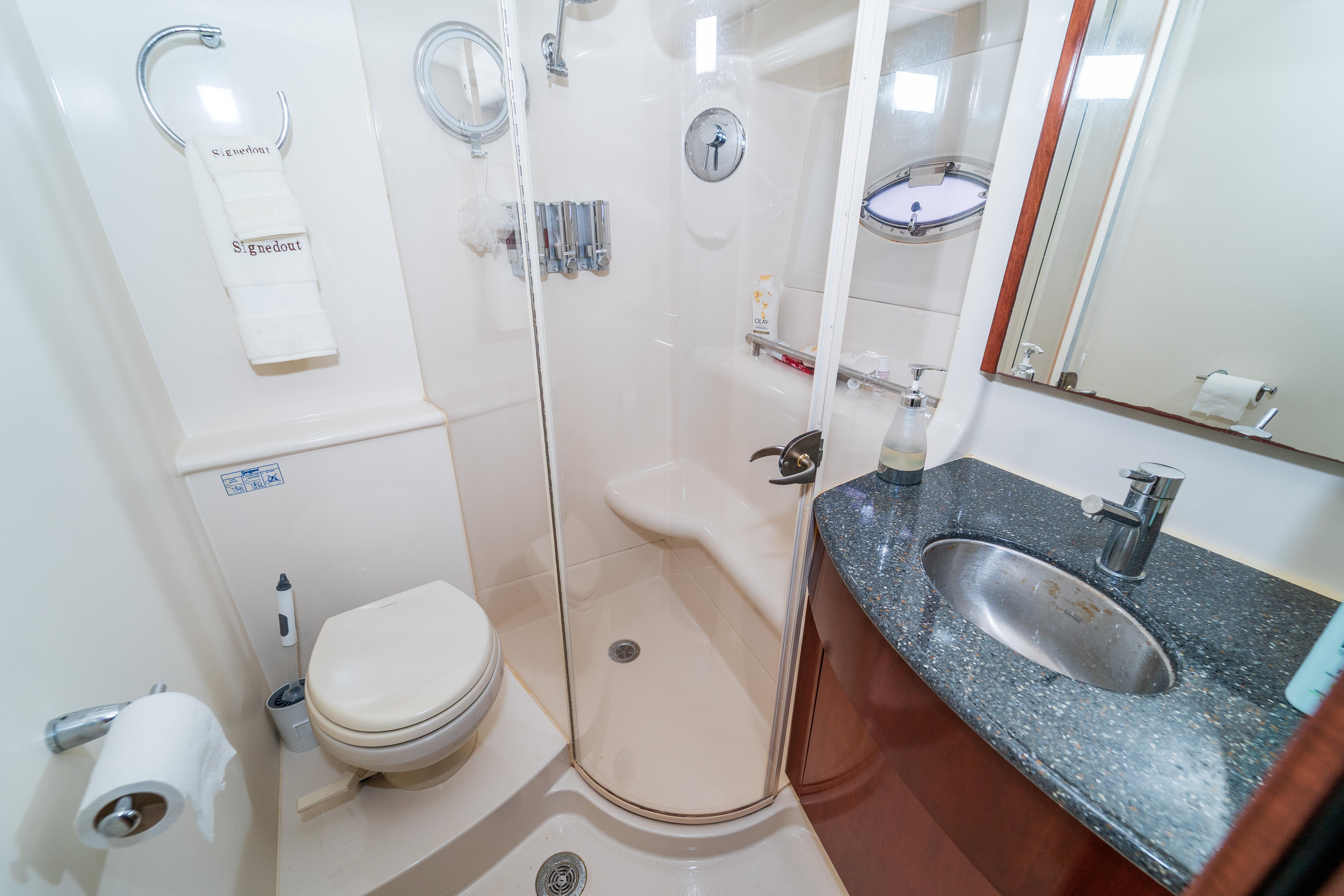 Luxurious bathroom in 2009 Meridian 441 Sedan yacht with shower, sink, and toilet.