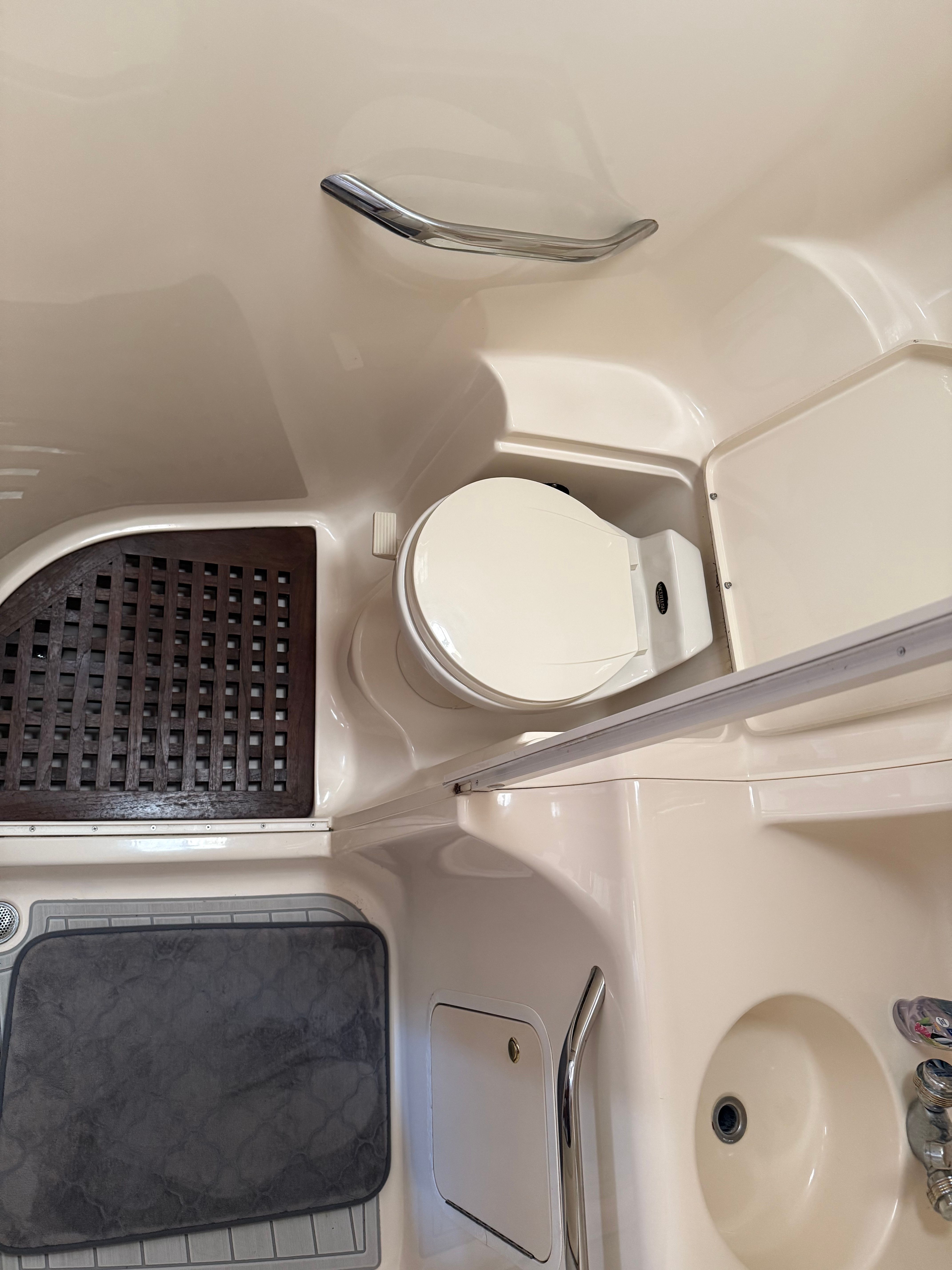 Bathroom on a boat with a toilet, sink, and shower area.