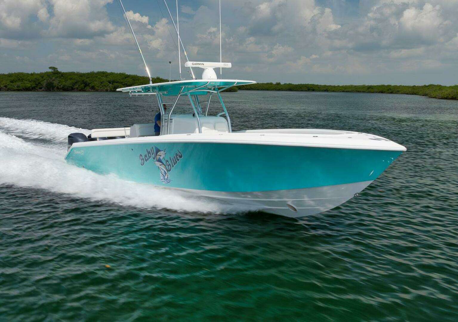 2013 Bahama — - Image 7