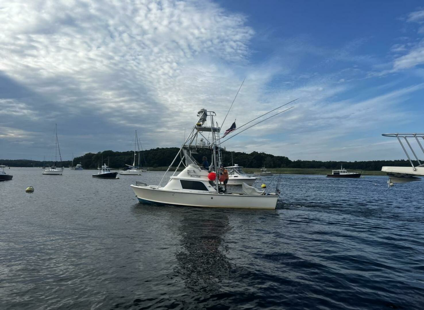 1975 Bertram 31 - Image 4