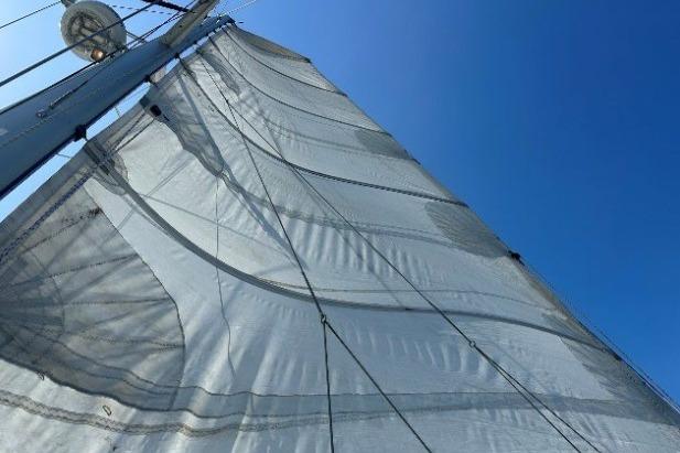Sail of a 2010 Lagoon 421 catamaran against a clear blue sky.