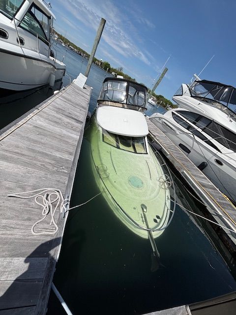 A 2004 Meridian 341 Sedan is docked, surrounded by other boats.