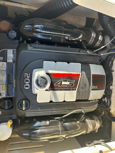 2018 Sea Ray SPX 190 - 6