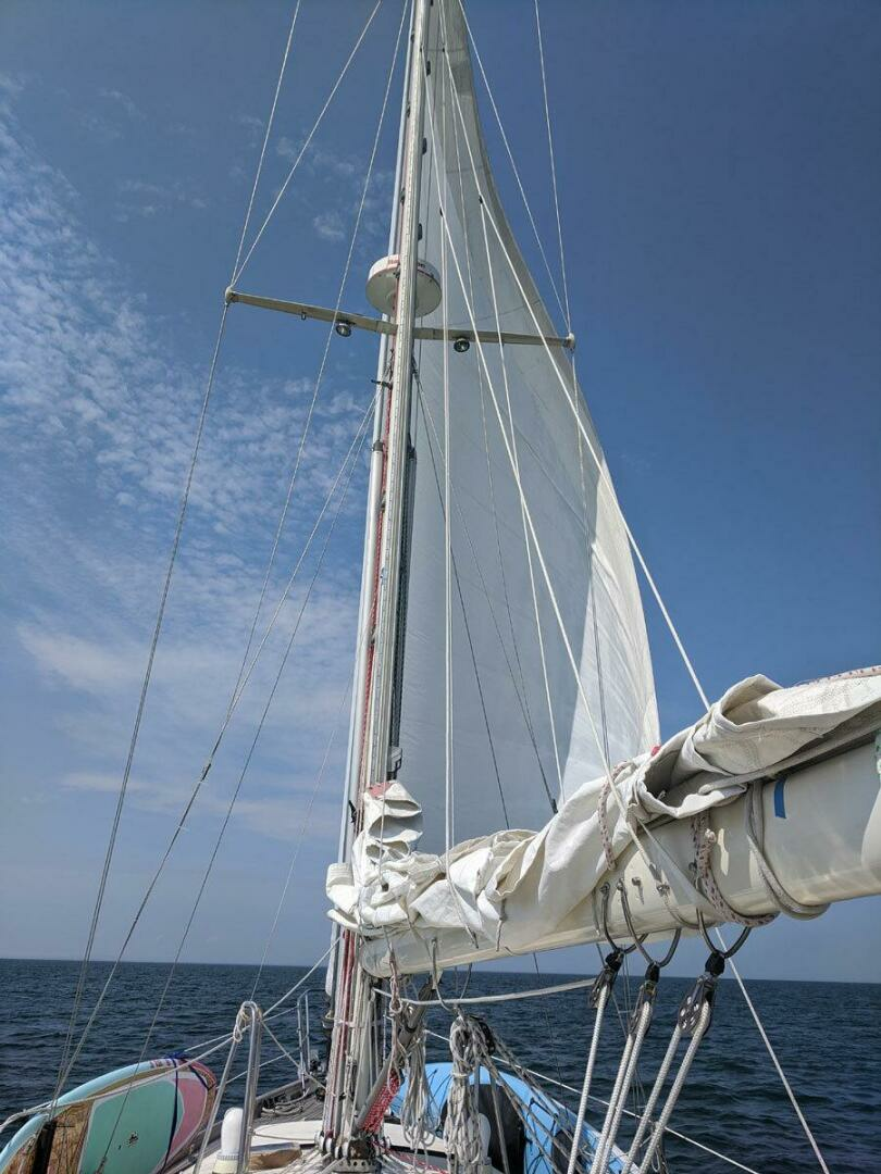 1988 Brewer Kaiulani - Image 61