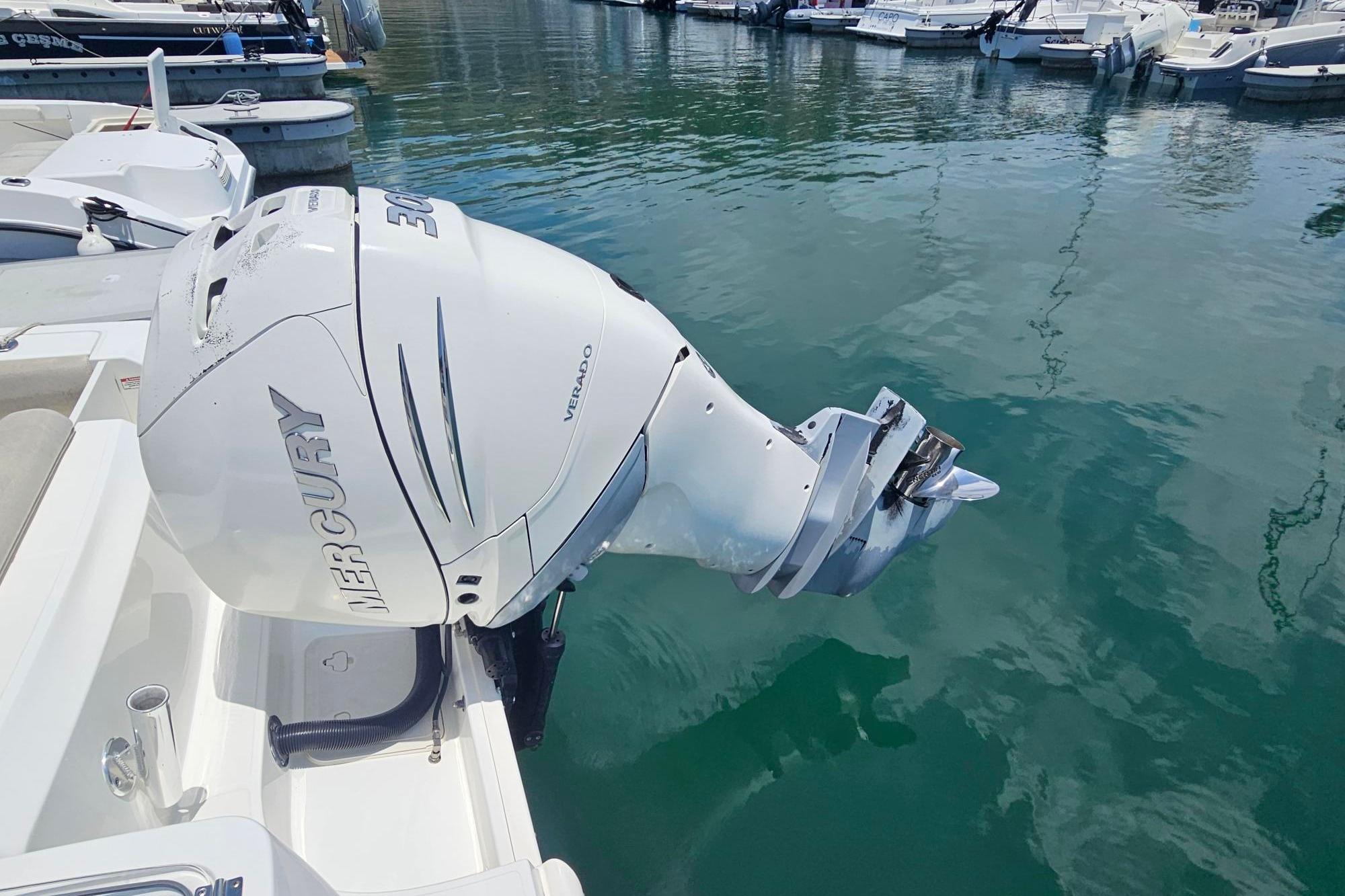 Boston Whaler 230 Outrage 2017 with Mercury Verado engine docked in marina.