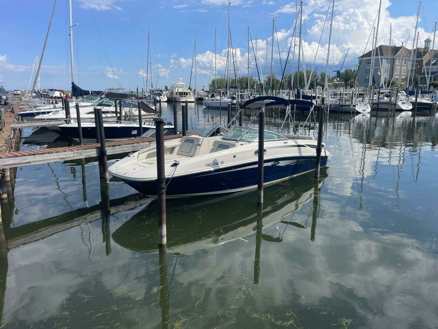 2010 Sea Ray 280 Sun Deck - Image 10