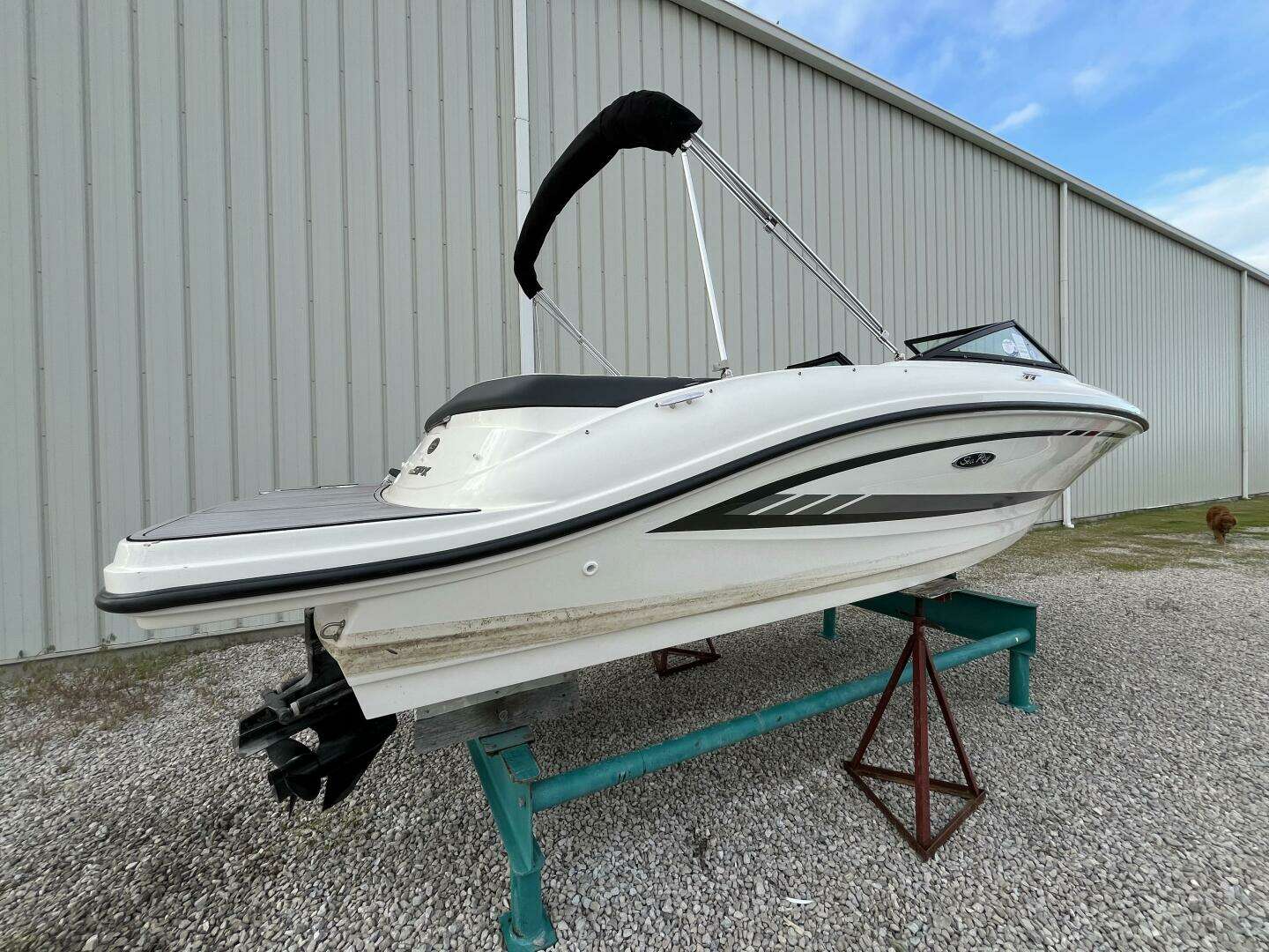 2015 Sea Ray 19 SPX - Image 4