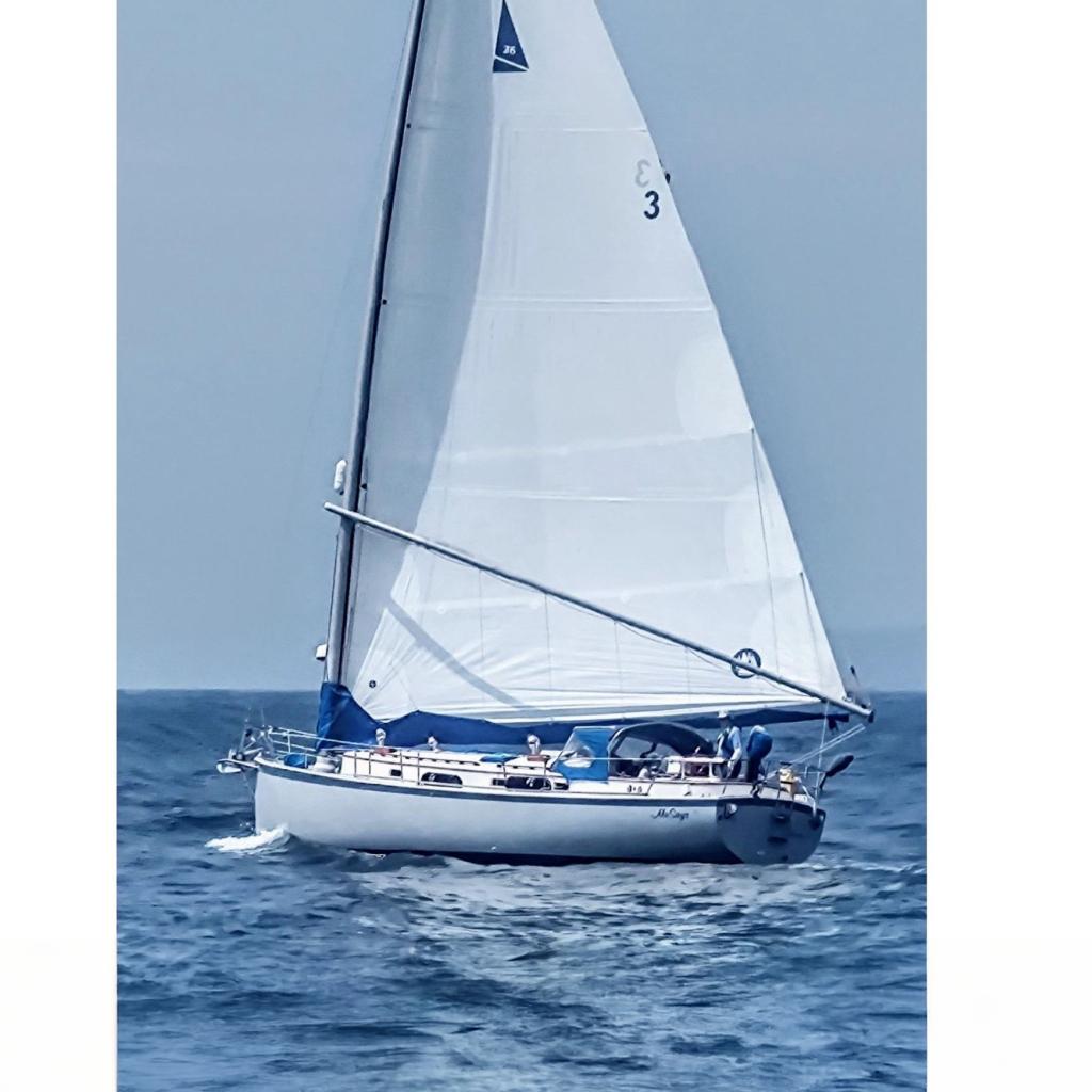 1983 Nonsuch 36