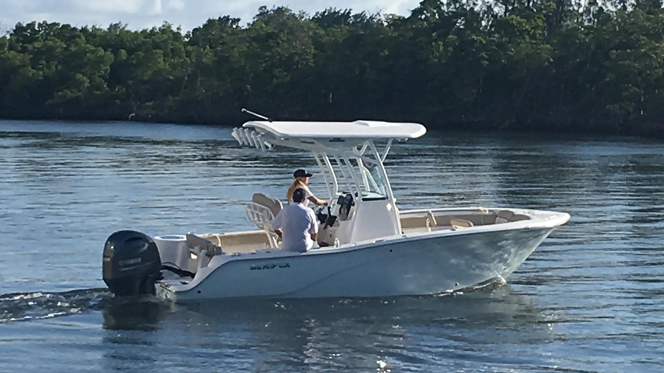 2017 Sea Fox 226 Commander