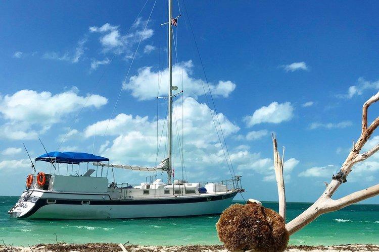 1984 Wellington 57 Sloop