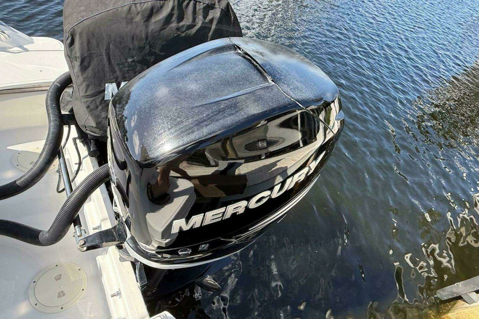 2018 Boston Whaler 250 Outrage - Image 3