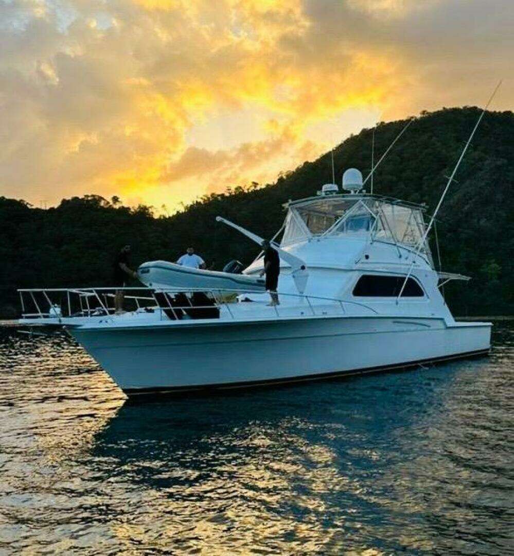 1988 Bertram 54' - Image 7