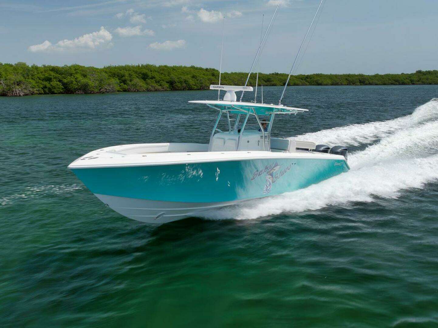 2013 Bahama — - Image 11