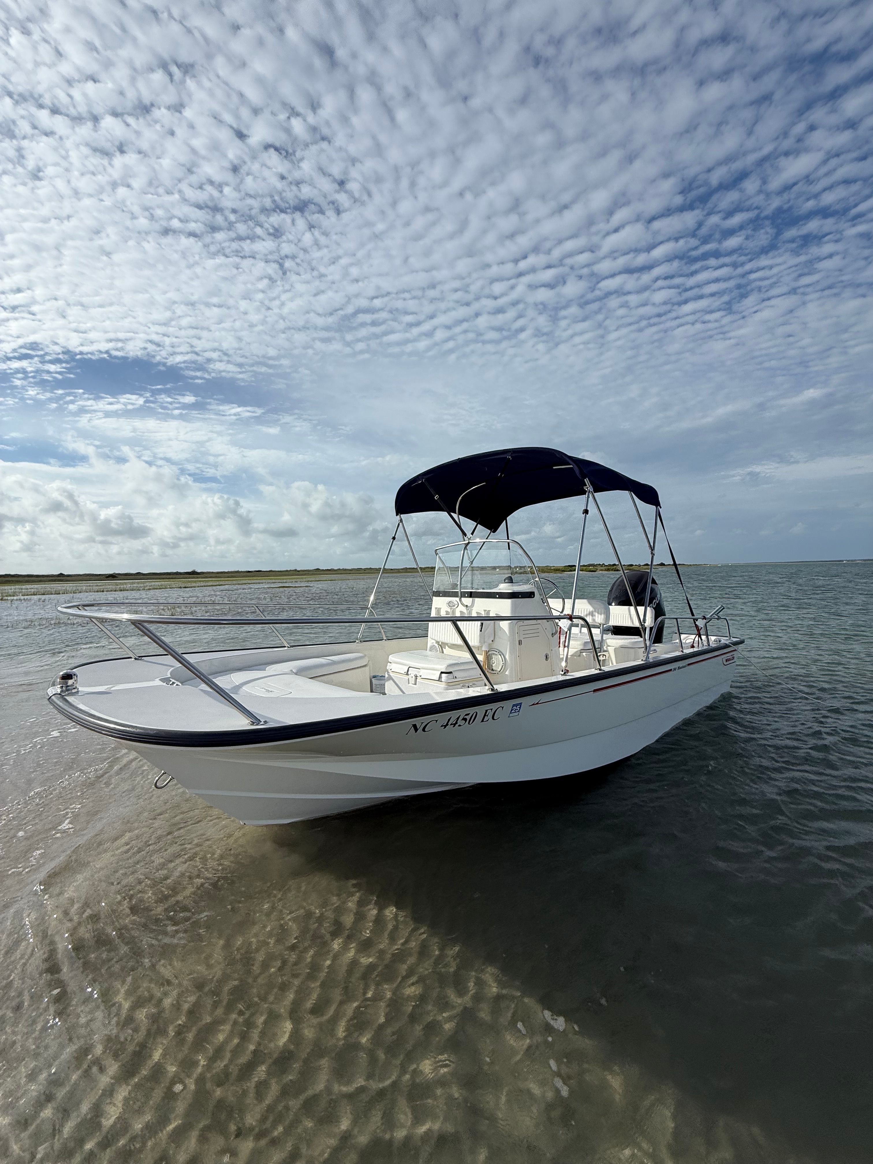2009 Boston Whaler 190 Montauk