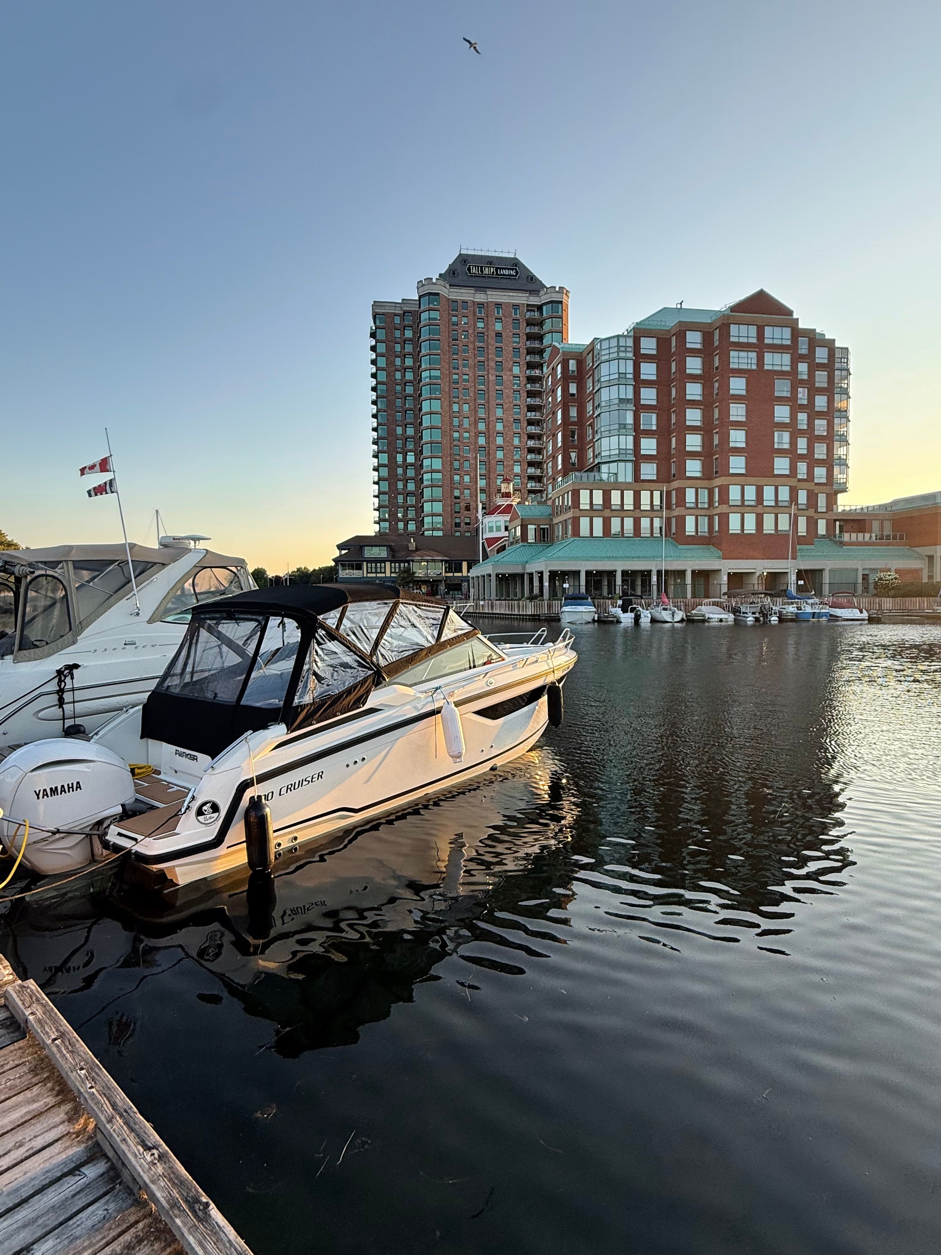 A 2022 Parker Poland 800 Cruiser is docked on the water in front of a modern building.