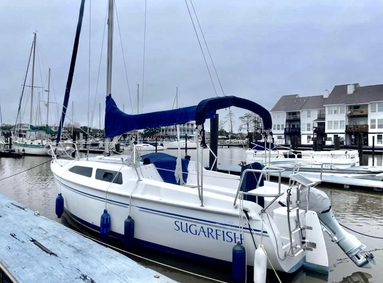 2005 Catalina C250 - 2