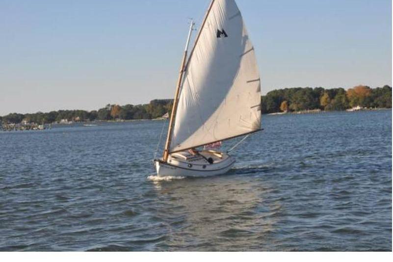 2004 Menger Cat 19