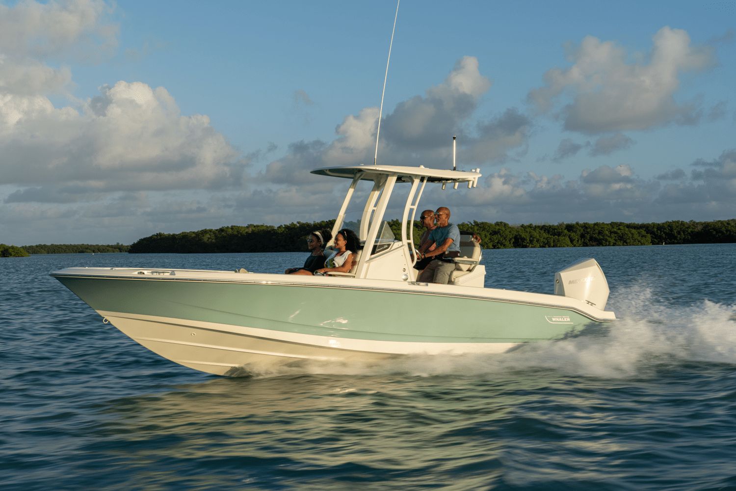 2026 Boston Whaler 250 Dauntless - 41