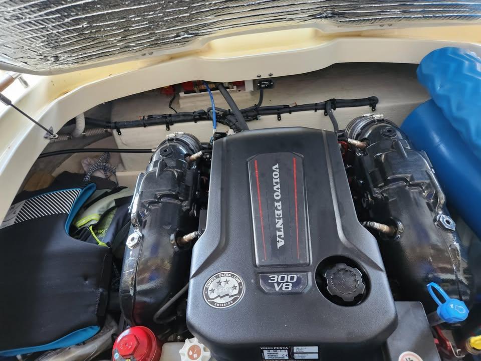 Volvo Penta 300 V8 engine in 2016 Chris-Craft Carina 21 boat.