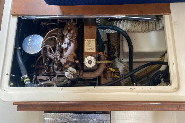 Engine compartment of a 1989 Catalina 30 sailboat, showcasing mechanical components and hoses.