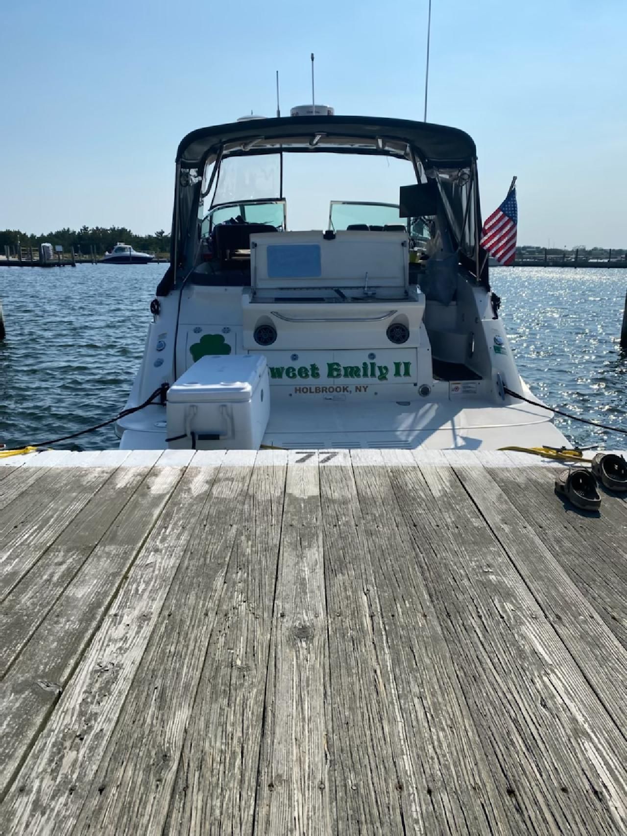 2015 Sea Ray Sundancer 350 - 10